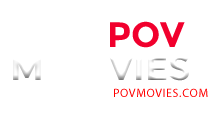 VidzFlix.com